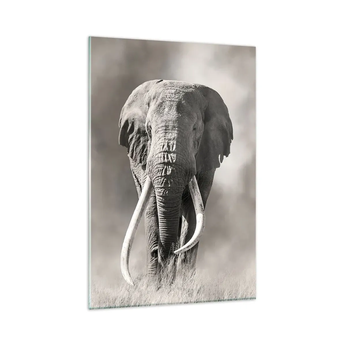 Cuadro sobre vidrio - Impresiones sobre Vidrio - Patriarca africano - 80x120 cm