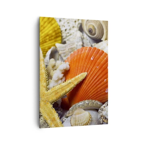 Cuadro sobre lienzo - Impresión de Imagen - Conchas y estrellas de mar en una composición marina - 70x100cm - Tesoros del océano - Decoración de pared moderna para salón y dormitorio ARTTOR
