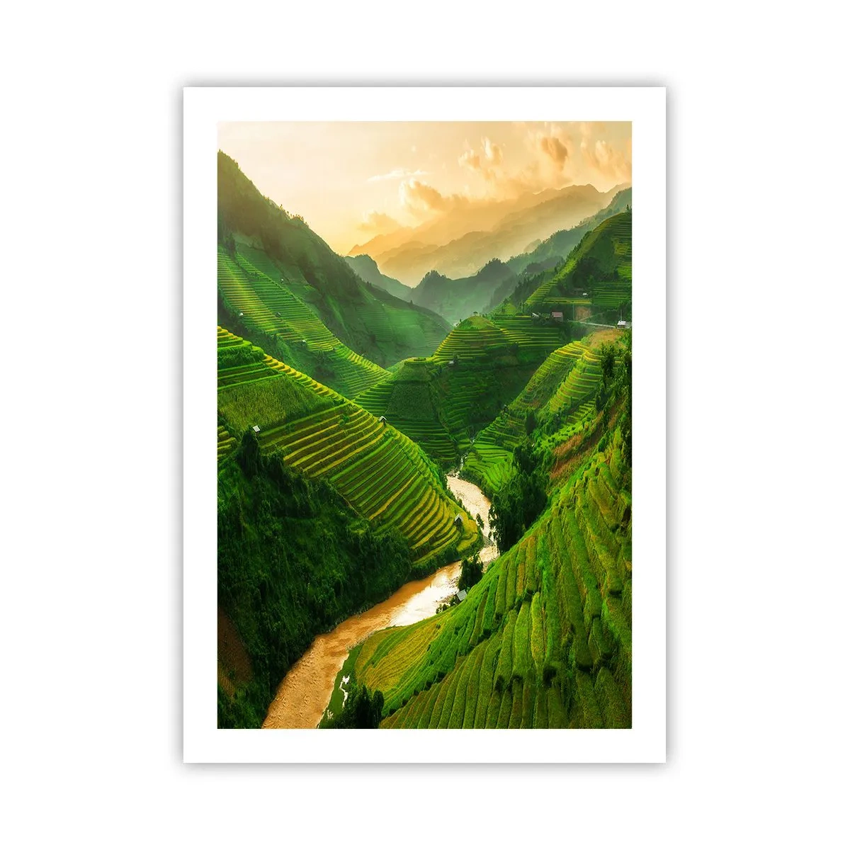 Póster - Pintorescas terrazas de arroz en un valle verde - 50x70cm - Valle vietnamita - Decoración de pared moderna para salón y dormitorio ARTTOR