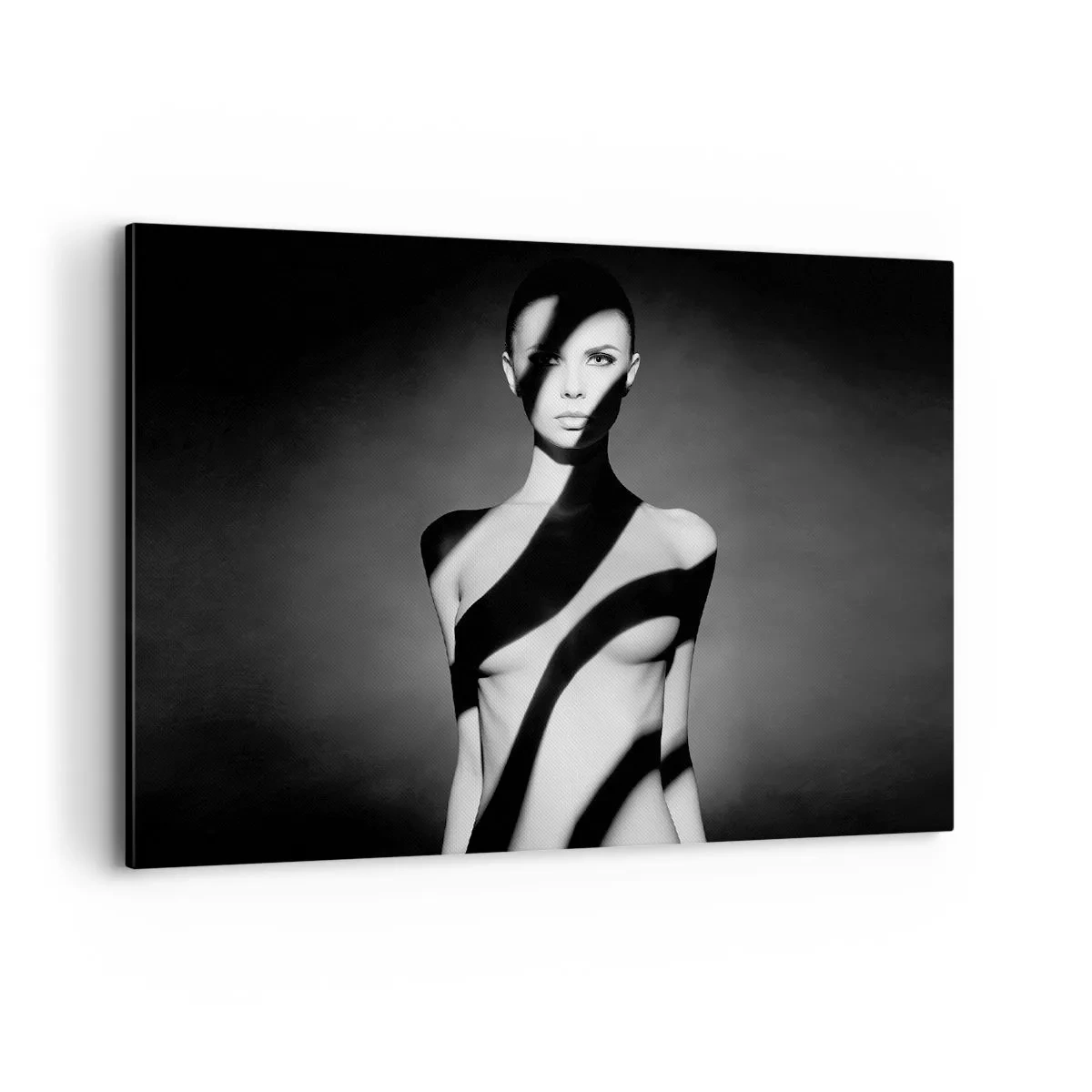Cuadro sobre lienzo - Impresión de Imagen - Retrato en blanco y negro de una mujer en luz y sombra. - 100x70cm - En la luz y en la sombra - Decoración de pared moderna para salón y dormitorio ARTTOR