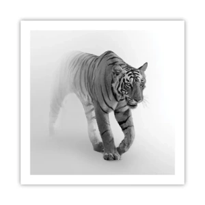 Póster - Siempre alerta entre la niebla - 60x60 cm