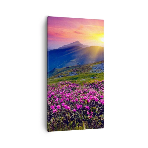 Cuadro sobre lienzo - Impresión de Imagen - ... Y el aroma a hierbas está por todas partes - 55x100 cm