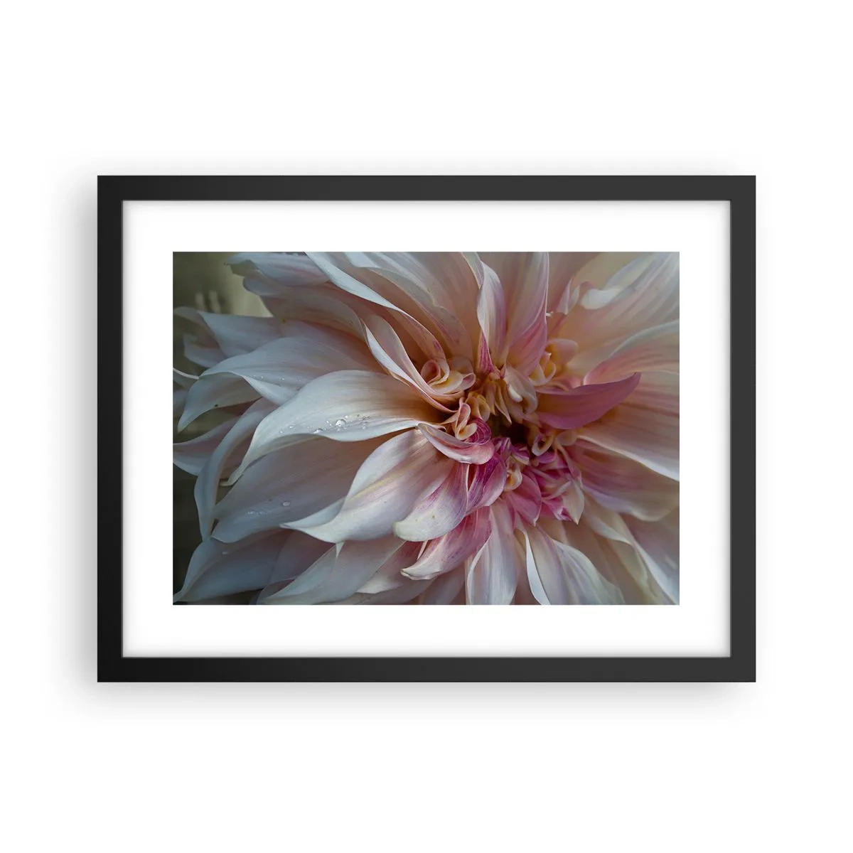 Póster en marco negro - Frescura floreciente - 40x30 cm