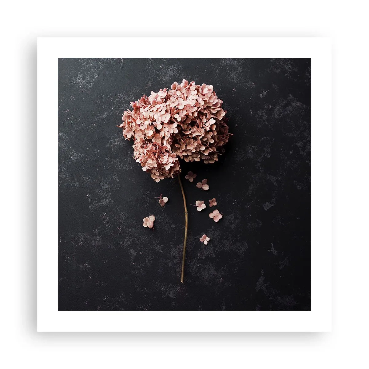 Póster - Un signo verdaderamente romántico - 50x50 cm