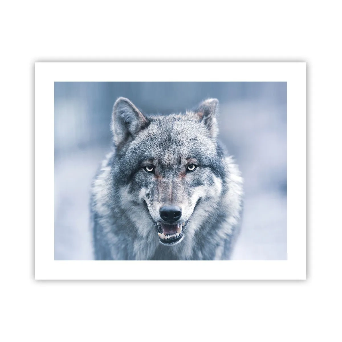 Póster - ¿Aceptarás el reto? - 50x40 cm