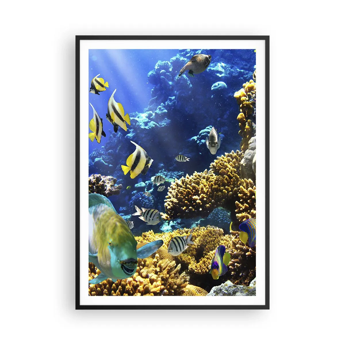 Póster en marco negro - Vacaciones submarinas - 70x100 cm