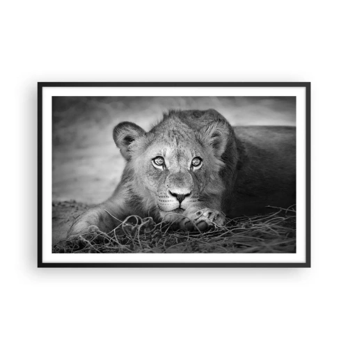 Póster en marco negro - Un cachorro real - 91x61 cm