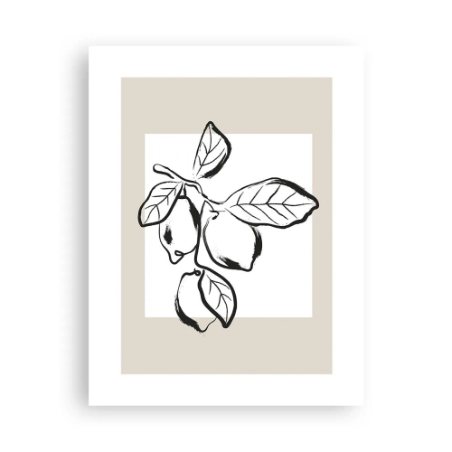 Póster - Donde el limón madura... - 30x40 cm