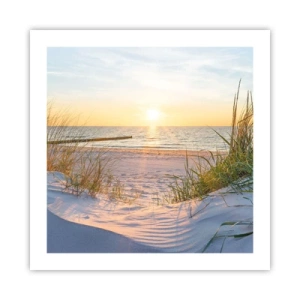 Póster - El sonido del mar, el canto de los pájaros, una playa virgen entre las dunas... - 50x50 cm