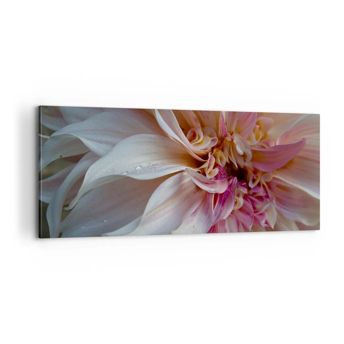 Cuadro sobre lienzo - Impresión de Imagen - Frescura floreciente - 100x40 cm