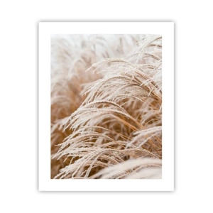 Póster - El sol de otoño - 40x50 cm