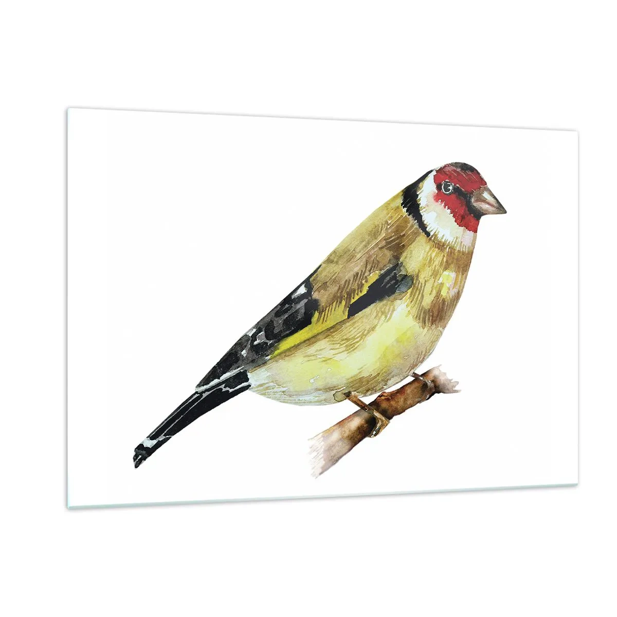 Cuadro sobre vidrio - Impresiones sobre Vidrio - Pájaro de acuarela en una rama en colores delicados. - 120x80cm - Retrato de pájaro - Decoración de pared moderna para salón y dormitorio ARTTOR