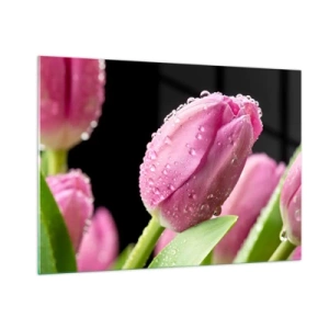 Cuadro sobre vidrio - Impresiones sobre Vidrio - Tulipanes rosados cubiertos de gotas de rocío sobre un fondo negro. - 100x70cm - Un sueño de lilas en el rocío - Decoración de pared moderna para salón y dormitorio ARTTOR