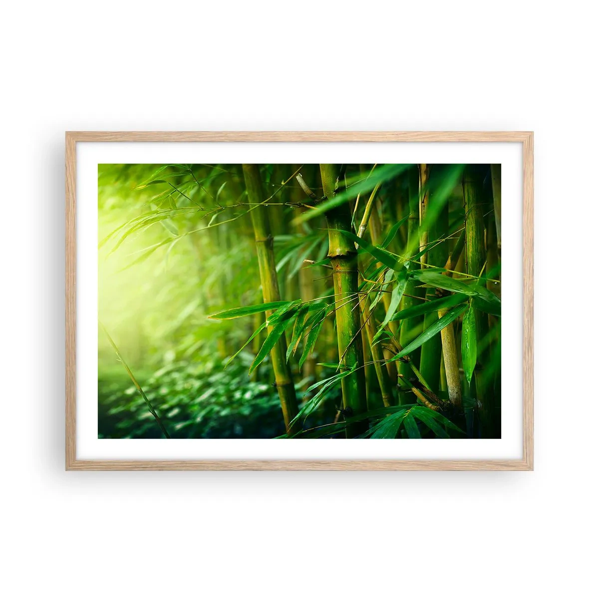 Póster en marco roble claro - Conocer el propio verdor - 70x50 cm