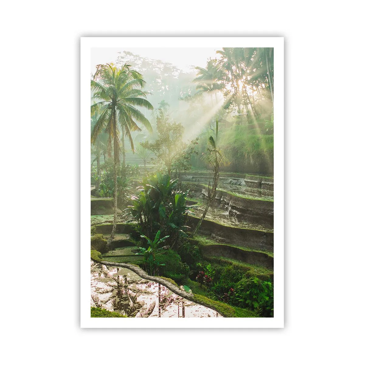 Póster - Crecer bajo el sol - 70x100 cm