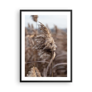 Póster en marco negro - Primer plano de juncos secos en tonos naturales contra el cielo. - 50x70cm - Es hora de volar con el viento - Decoración de pared moderna para salón y dormitorio ARTTOR