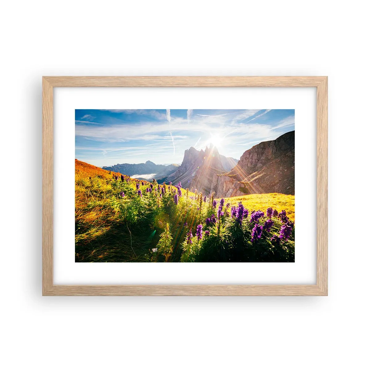 Póster en marco roble claro - La vida secreta de las hierbas - 40x30 cm