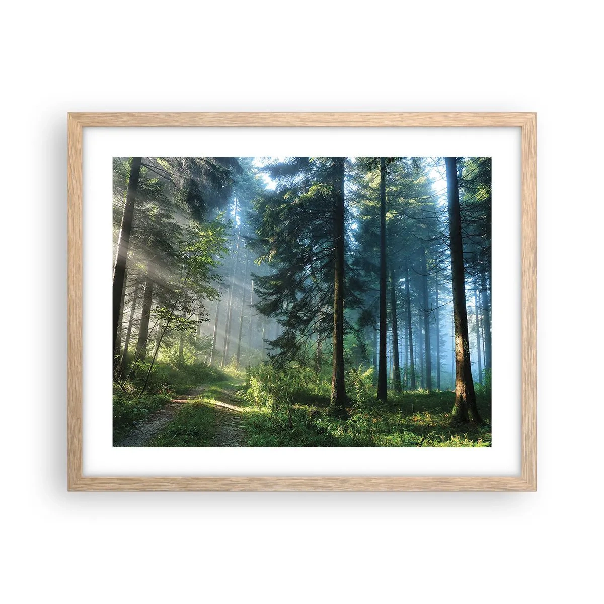Póster en marco roble claro - Radiante por la mañana - 50x40 cm