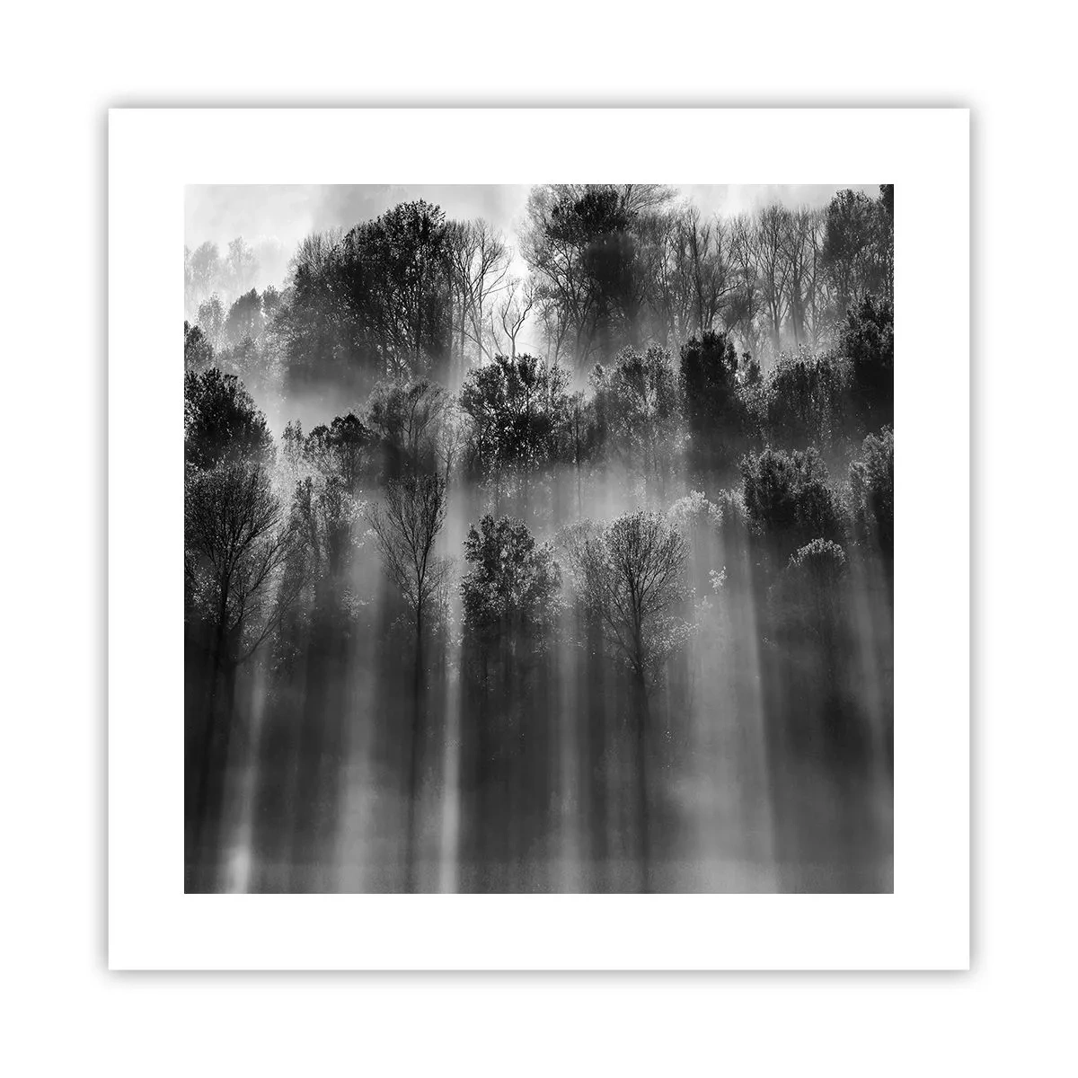 Póster - En los flujos de luz - 40x40 cm