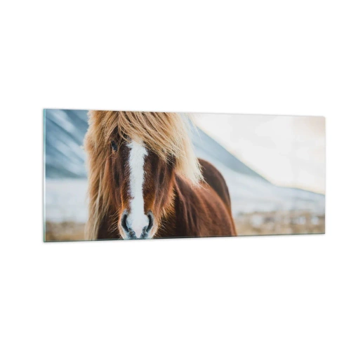 Cuadro sobre vidrio - Impresiones sobre Vidrio - ¿Puedes sentir la libertad? - 100x40 cm