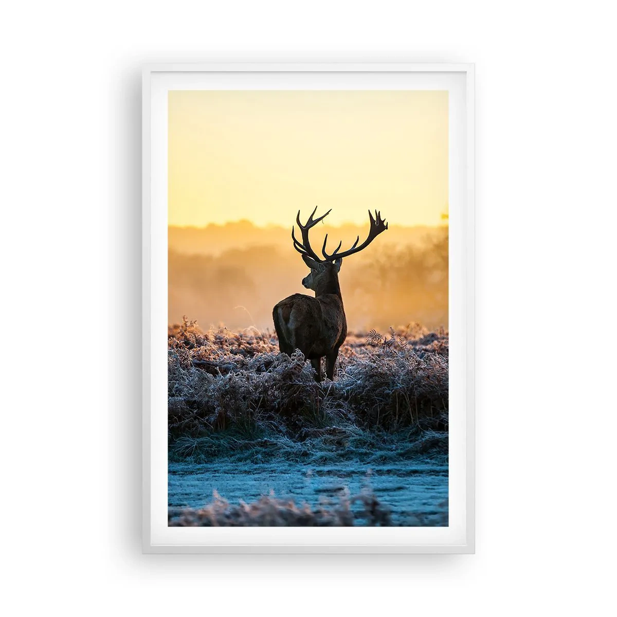 Póster en marco blanco - Coronado en sus propios dominios - 61x91 cm