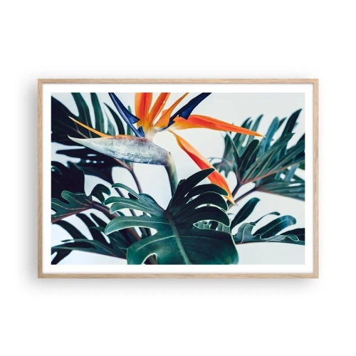 Póster en marco roble claro - La jaula del pájaro colorido - 100x70 cm