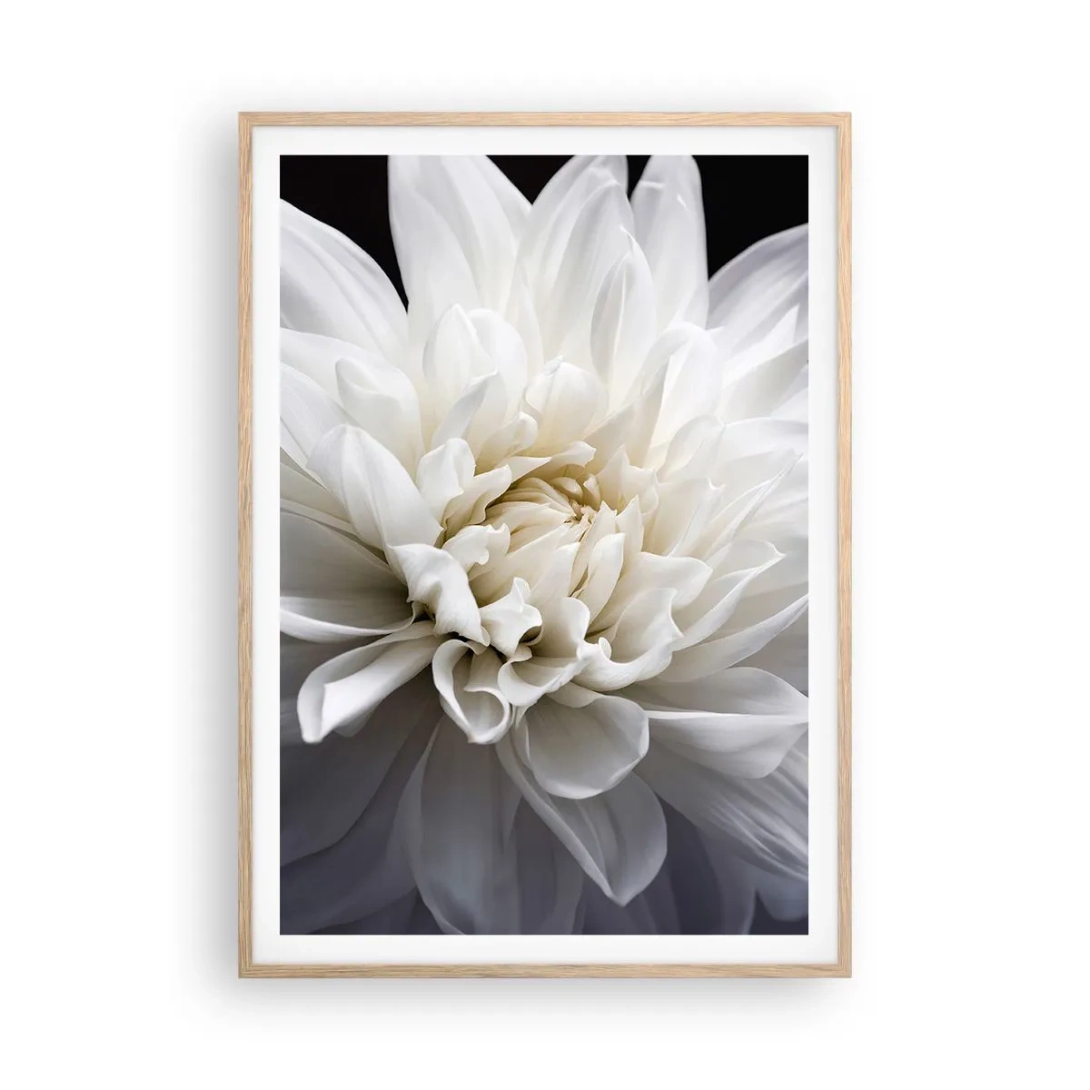 Póster en marco roble claro - La novia de la mañana - 70x100 cm