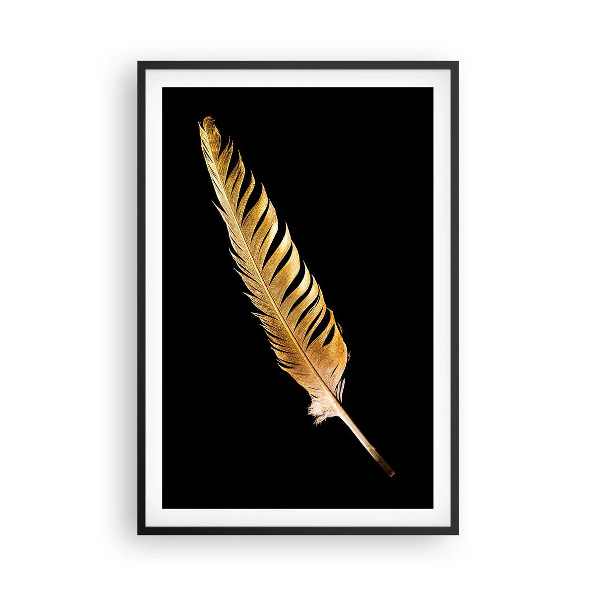 Póster en marco negro - Pluma de alta calidad - 61x91 cm