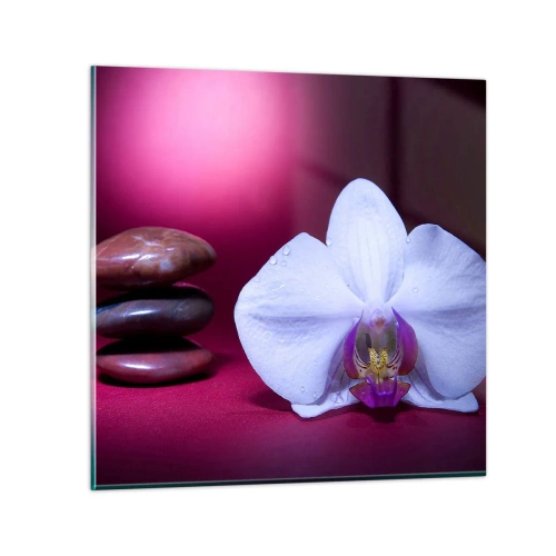 Cuadro sobre vidrio - Impresiones sobre Vidrio - Estudio de frescura en violeta - 30x30 cm