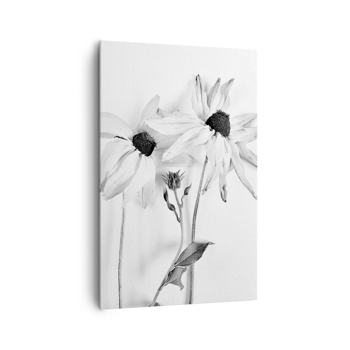 Cuadro sobre lienzo - Impresión de Imagen - Flores en blanco y negro con una composición sutil. - 80x120cm - Nadie quiere estar solo - Decoración de pared moderna para salón y dormitorio ARTTOR