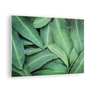 Cuadro sobre vidrio - Impresiones sobre Vidrio - Primer plano de hojas verdes dispuestas en capas. - 70x50cm - Jugosidad y frescura - Decoración de pared moderna para salón y dormitorio ARTTOR