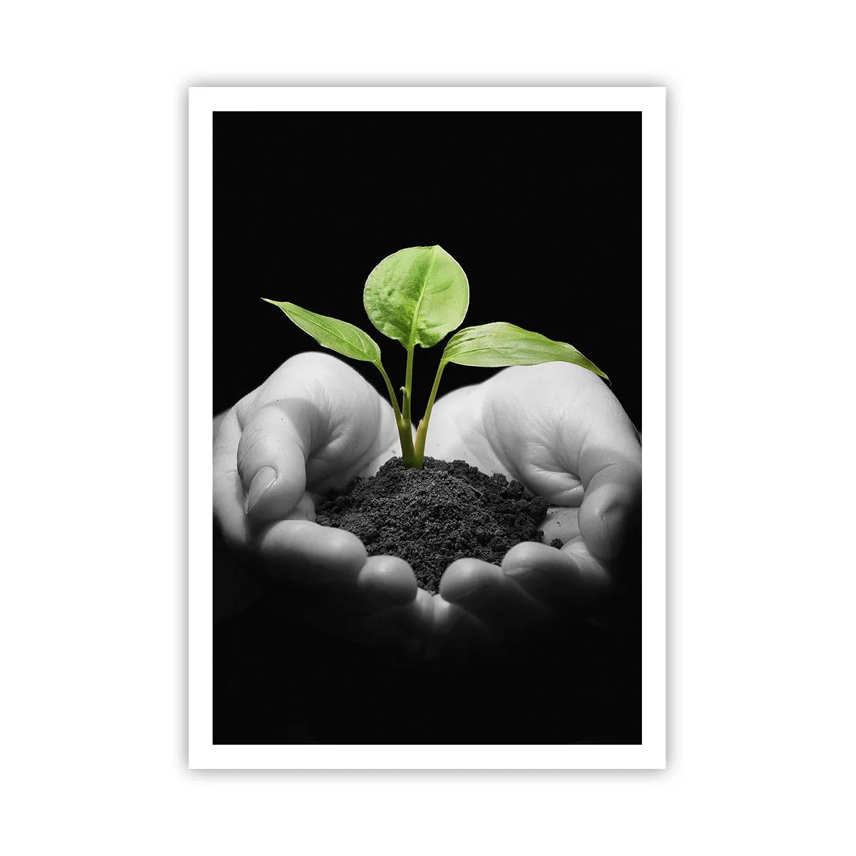 Póster - Amo la naturaleza, la protejo - 70x100 cm