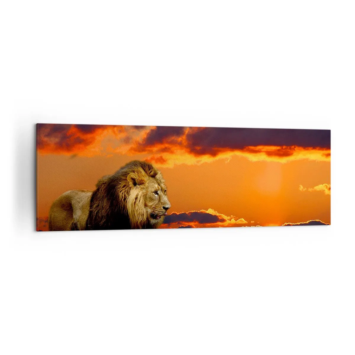 Cuadro sobre lienzo - Impresión de Imagen - Un león descansa junto al agua al atardecer con un cielo dramático. - 160x50cm - Rey de la naturaleza - Decoración de pared moderna para salón y dormitorio ARTTOR