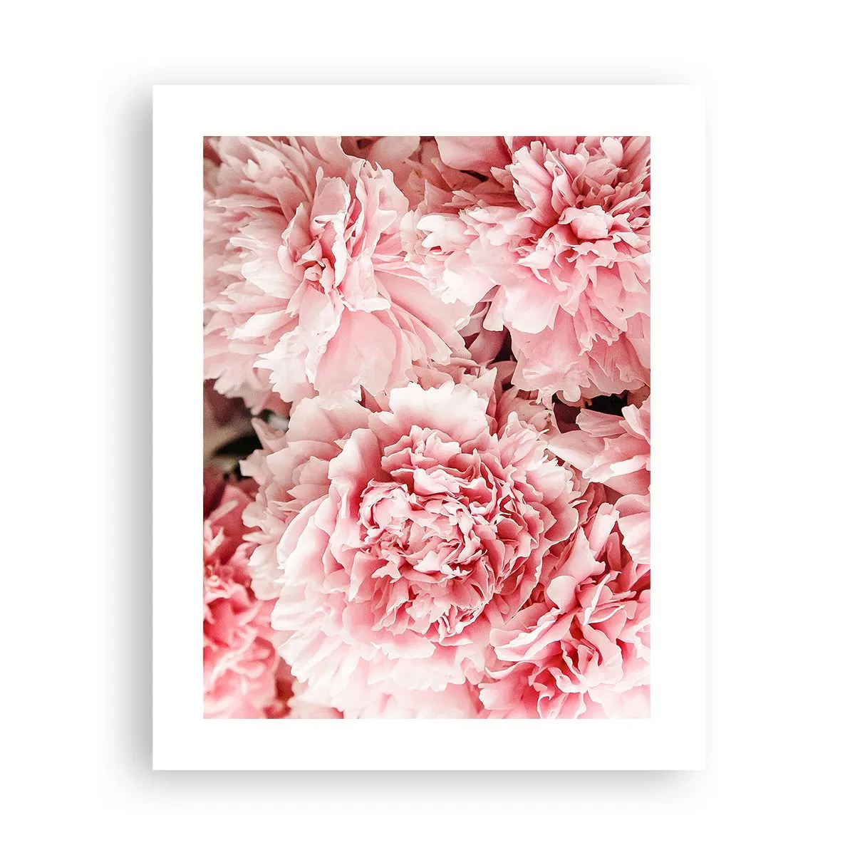Póster - Sueño rosa - 40x50 cm