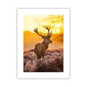 Póster - Rey del bosque de otoño - 30x40 cm