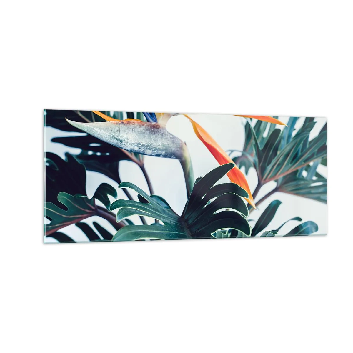 Cuadro sobre vidrio - Impresiones sobre Vidrio - La jaula del pájaro colorido - 100x40 cm
