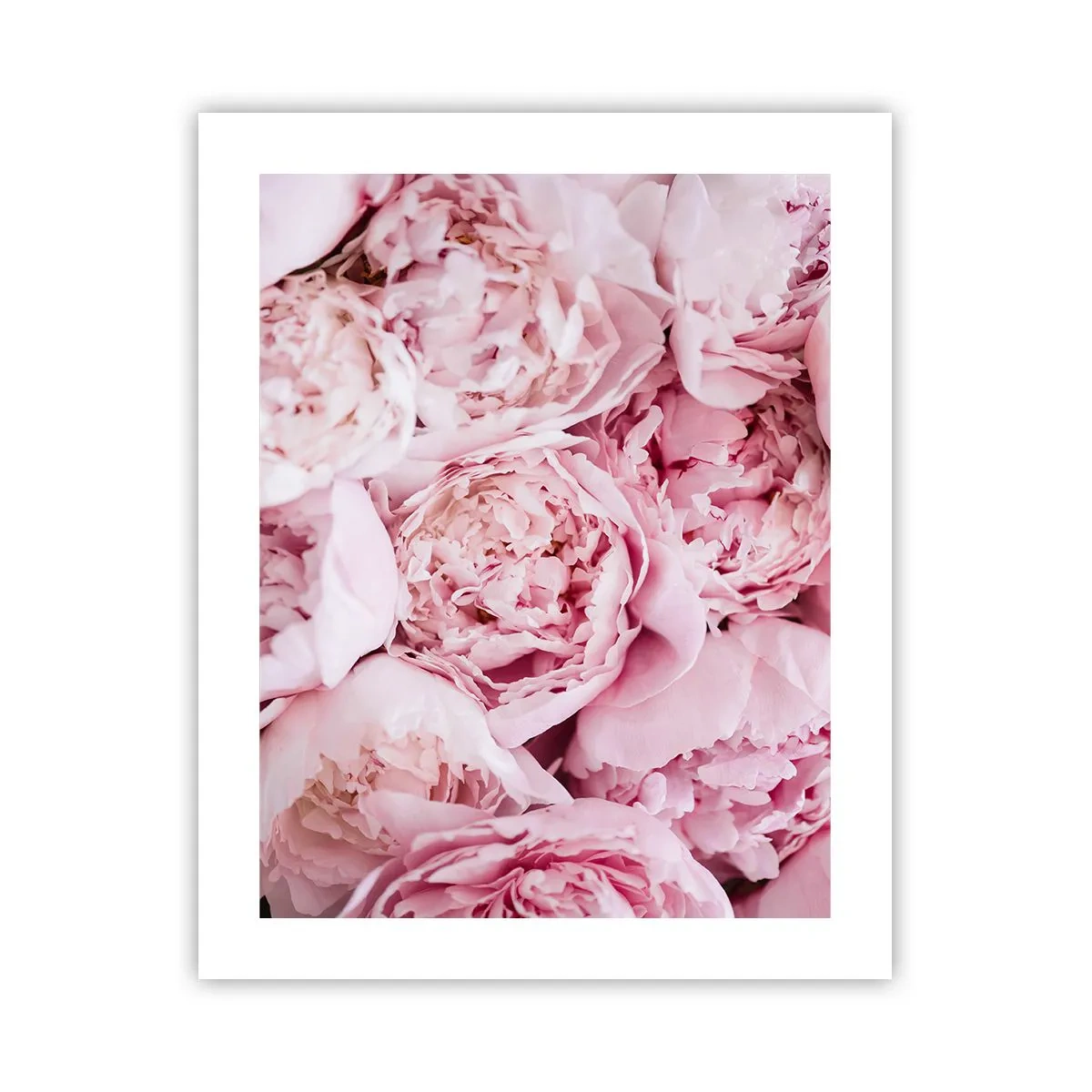 Póster - Cálido y fragante - 40x50 cm