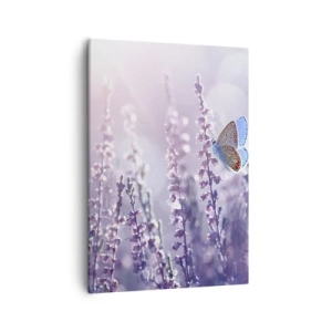 Cuadro sobre lienzo - Impresión de Imagen - Una mariposa sobre lavanda en flor a la luz de la mañana. - 50x70cm - El beso de una mariposa - Decoración de pared moderna para salón y dormitorio ARTTOR