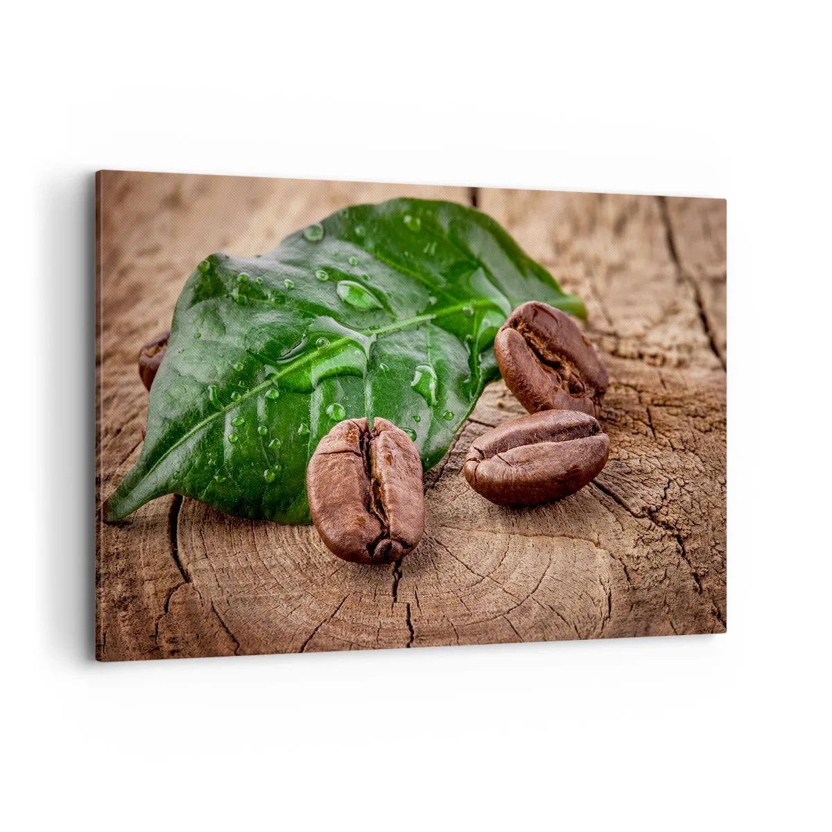 Cuadro sobre lienzo - Impresión de Imagen - Granos de café y hojas verdes sobre un fondo de madera - 120x80cm - El auténtico y negro - Decoración de pared moderna para salón y dormitorio ARTTOR