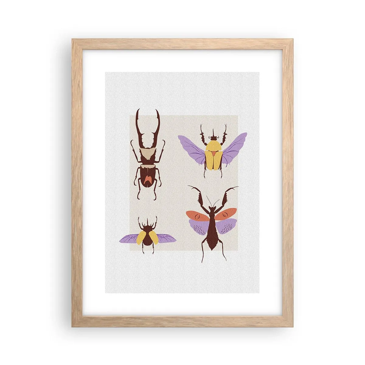 Póster en marco roble claro - El mundo de los insectos - 30x40 cm