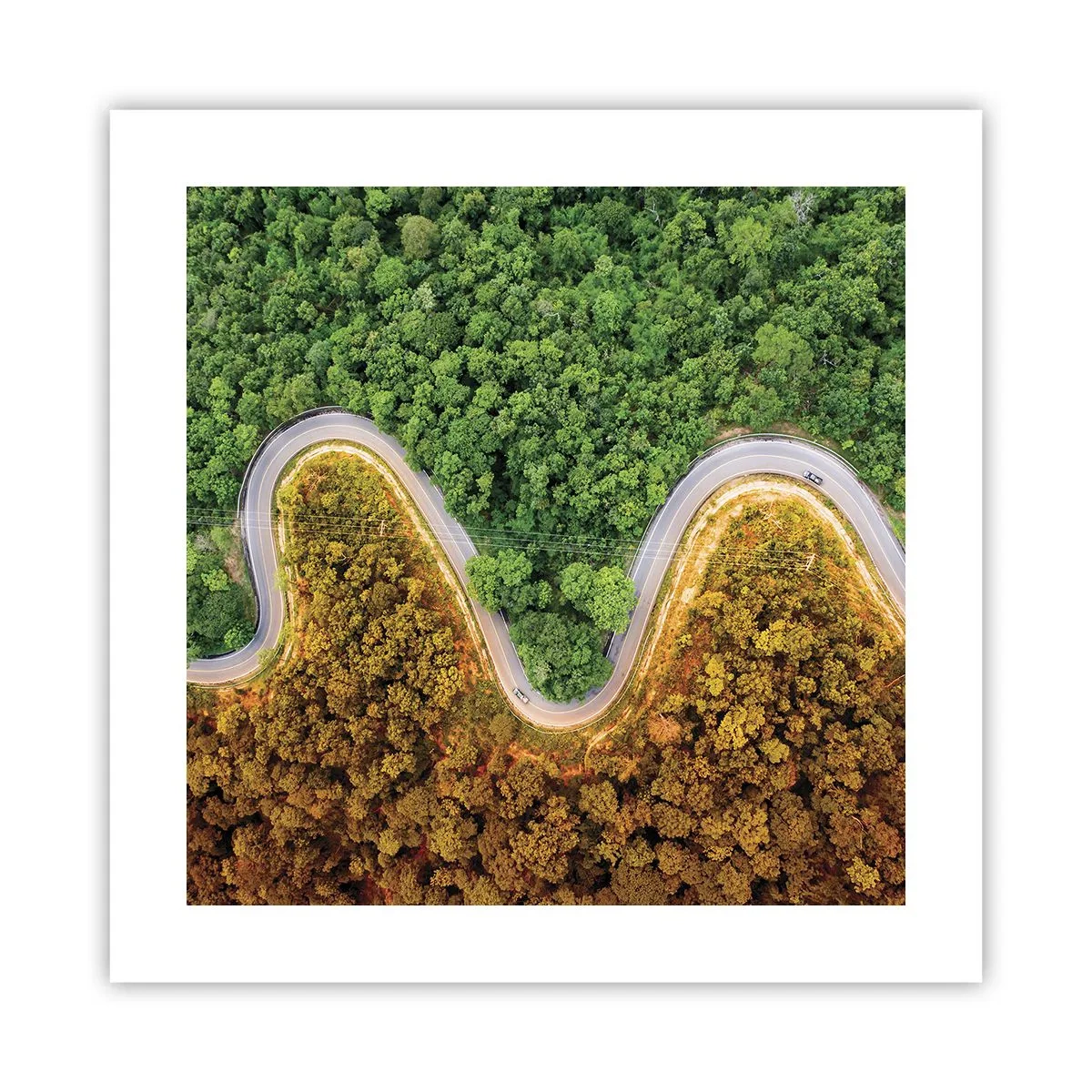 Póster - Frontera serpenteante - 40x40 cm