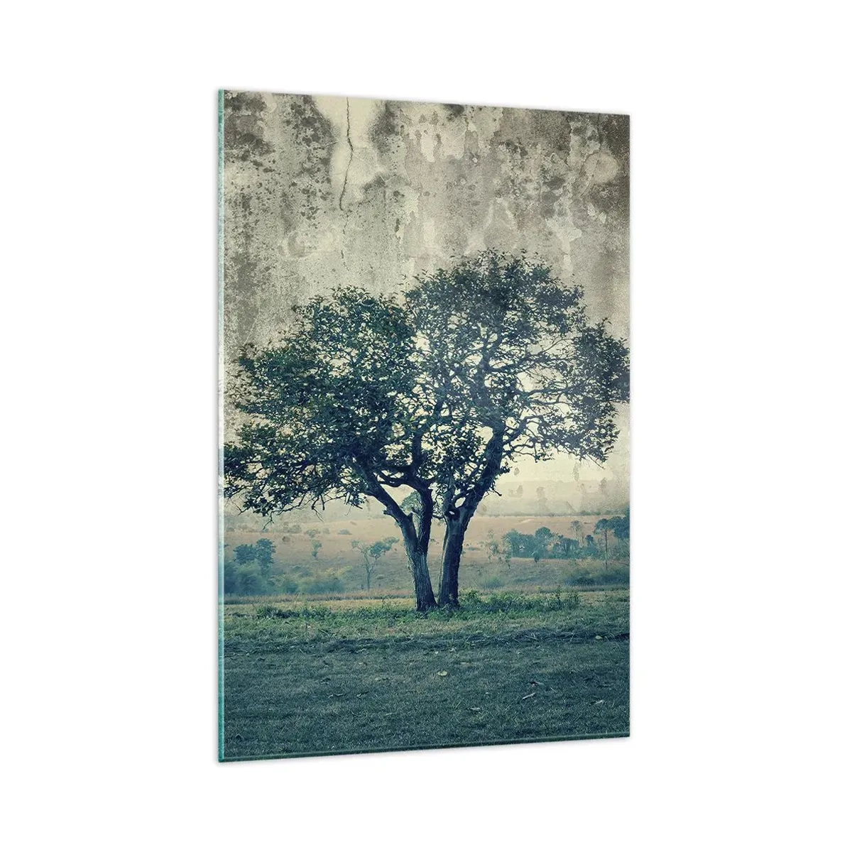 Cuadro sobre vidrio - Impresiones sobre Vidrio - Un árbol solitario contra un paisaje brumoso. - 80x120cm - El manzano - Decoración de pared moderna para salón y dormitorio ARTTOR