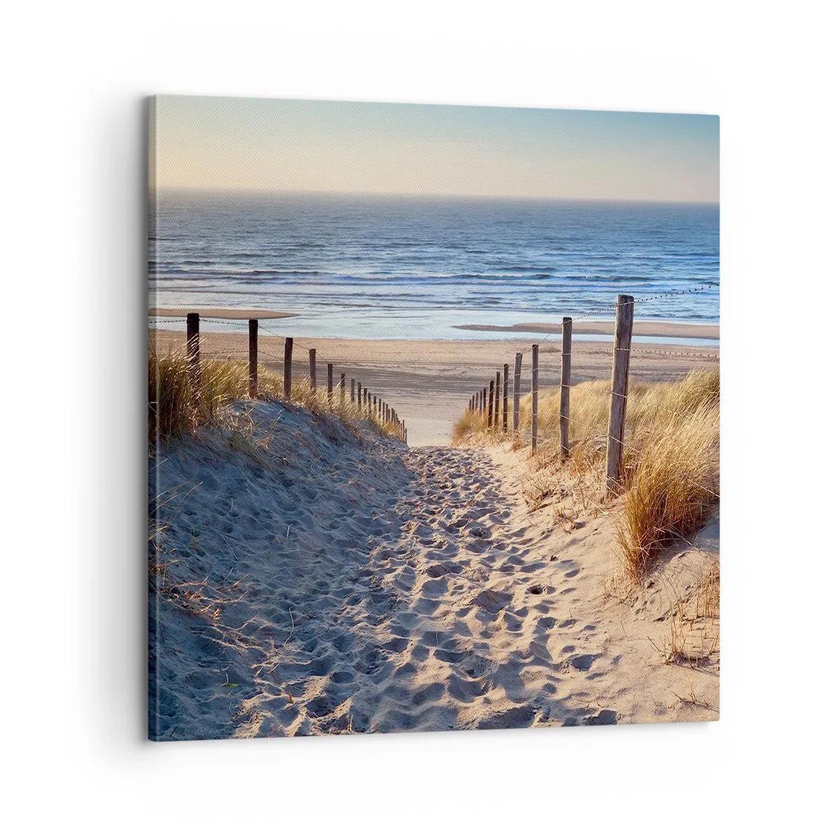 Cuadro sobre lienzo - Impresión de Imagen - El sonido del mar, el canto de los pájaros, una playa virgen entre las dunas... - 60x60 cm