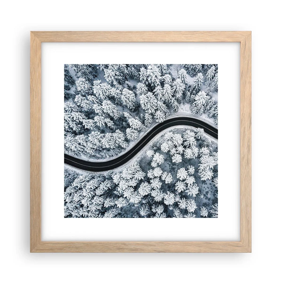Póster en marco roble claro - A través de un bosque invernal - 30x30 cm