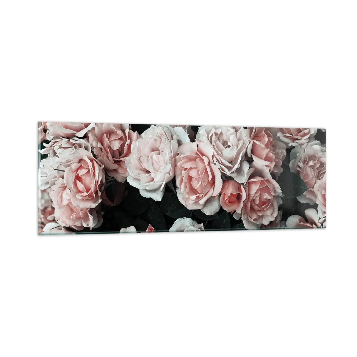 Cuadro sobre vidrio - Impresiones sobre Vidrio - Conjunto de rosas - 90x30 cm