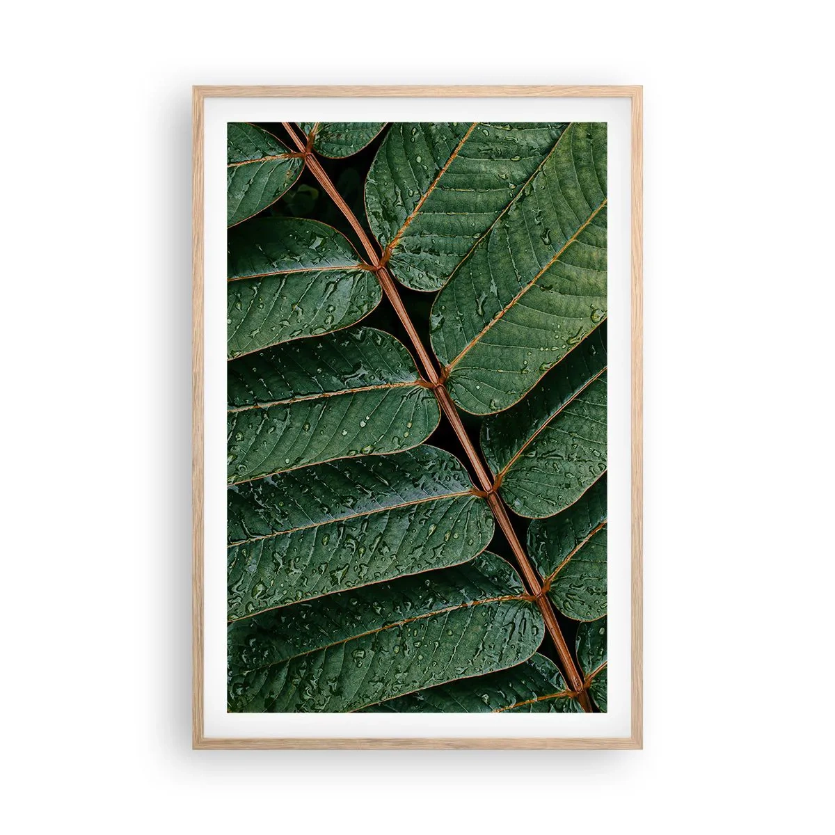 Póster en marco roble claro - En un ritmo verde - 61x91 cm