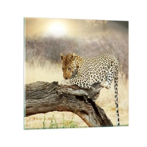 Cuadro sobre vidrio - Impresiones sobre Vidrio - Voy por mi cuenta - 60x60 cm