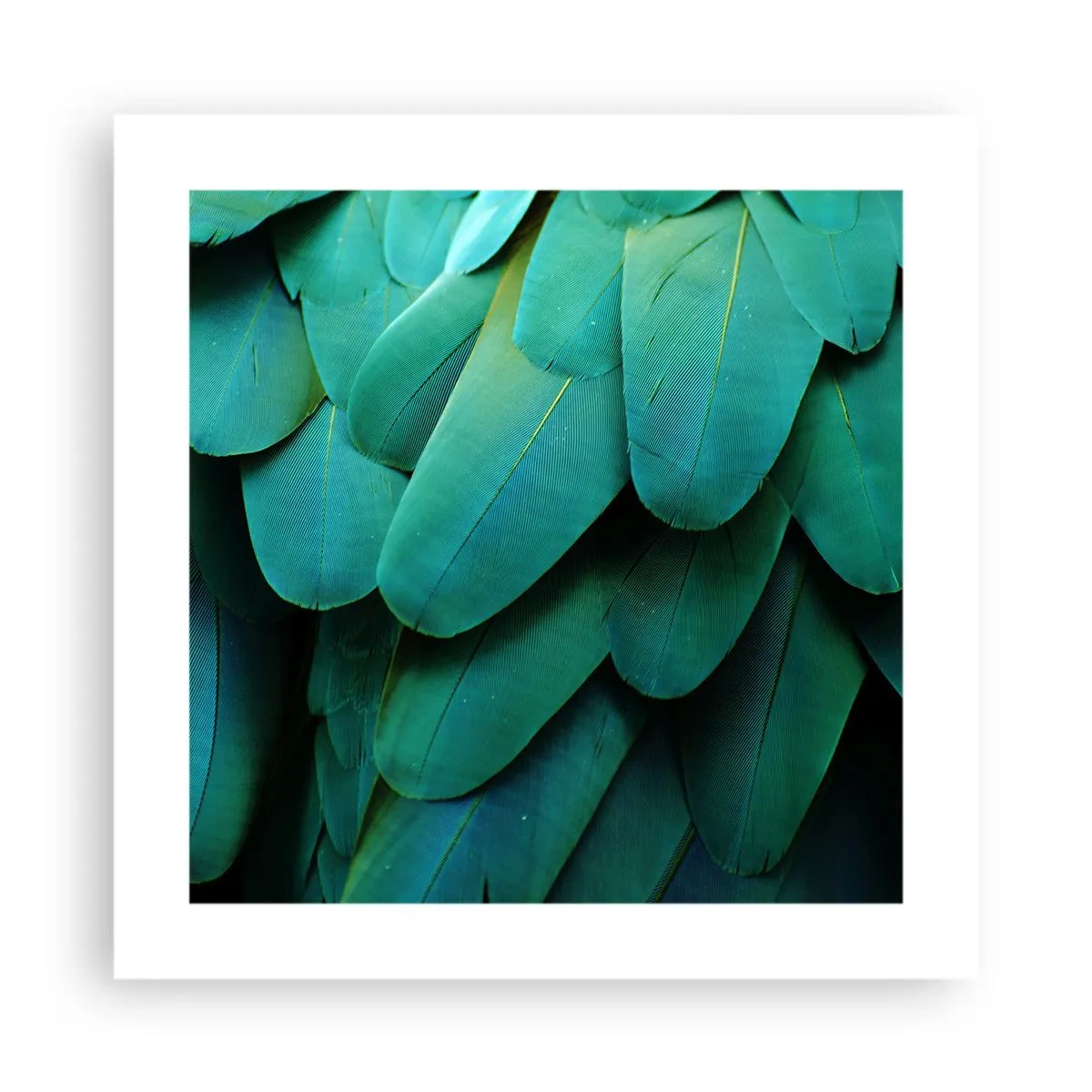 Póster - La precisión de la naturaleza  - 40x40 cm