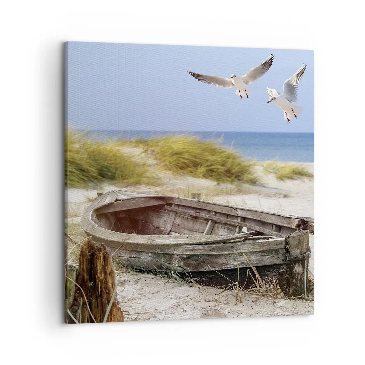 Cuadro sobre lienzo - Impresión de Imagen - Bañada por el viento - 50x50 cm