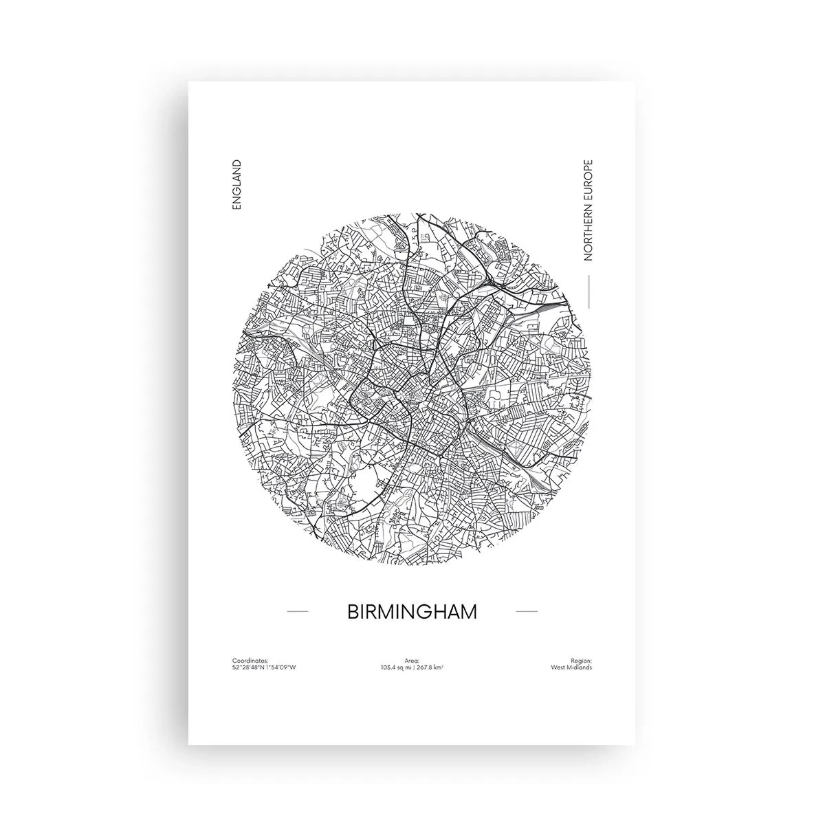 Póster - Anatomía de Birmingham - 61x91 cm